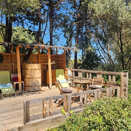 Coin Exotique Villa Casaeva Porto-Vecchio  Ngoại thất bức ảnh