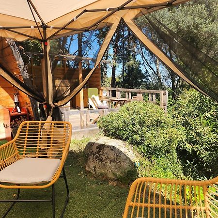 Coin Exotique Villa Casaeva Porto-Vecchio  Ngoại thất bức ảnh